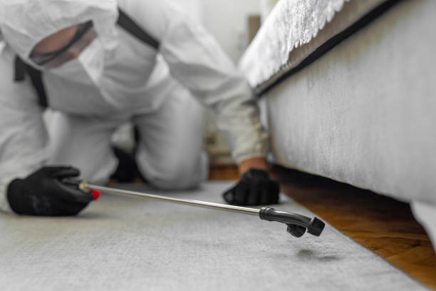 Professional Pest Control technician working in Kanabec County County, MN